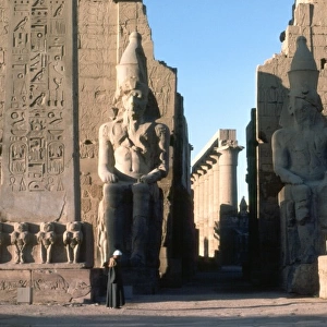 Luxor Temple (Detail)