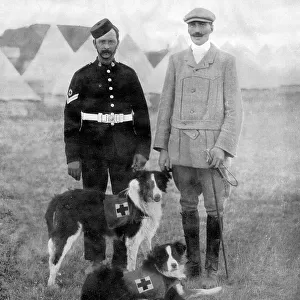 Major Richardson and his ambulance dogs