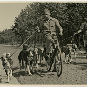 Man and woman with bicycles and greyhound dogs