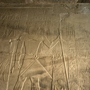 Mastaba of Ptahhotep and Akhethotep. Deceased is depicted st