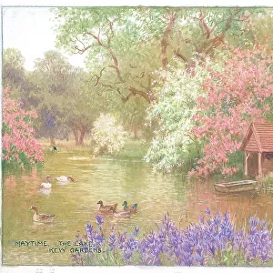 Maytime, The Lake, Kew Gardens