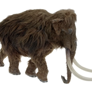 Model of the Ilford Mammoth