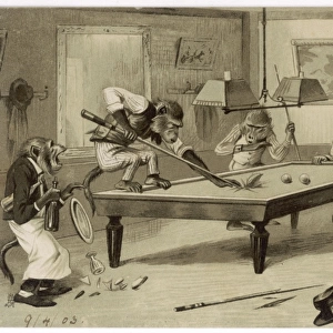 Monkeys Play Billiards