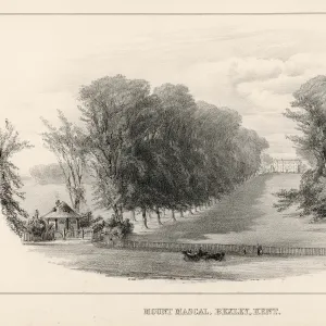 Mount Mascal, Bexley