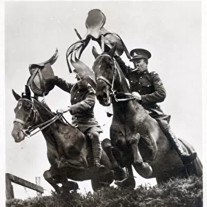 Mounted Display of the Army School of Equitation