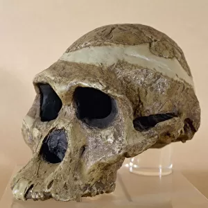 South Africa Heritage Sites Collection: Fossil Hominid Sites of South Africa