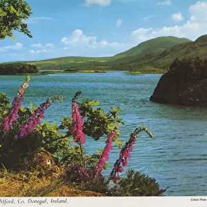 Mulroy Bay near Milford, County Donegal
