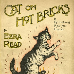 Music Cover, Cat on Hot Bricks