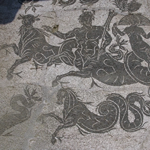 Ostia Antica. Mosaic of Baths of Buticosus