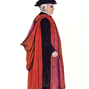 Oxford University robes: Doctor of Music (full dress)