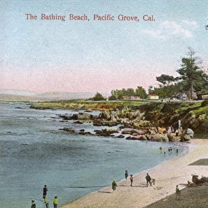 Pacific Grove, Monterey County, California, USA