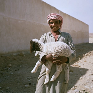 Palmyra, Syria - Bedouin Shepherd holding a young lamb