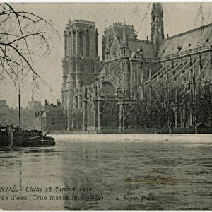 Paris Flood - Notre Dame Cathedral - Isle de la Cite