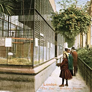 People visiting the Monkey House at London Zoo