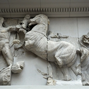 Pergamon Altar. Horse of Helios carriage attacking a giant