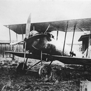 Pfalz D VIII German fighter biplane