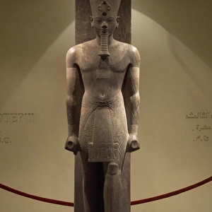 Pharaoh Amenhotep III (Amenophis or Akhenathon)