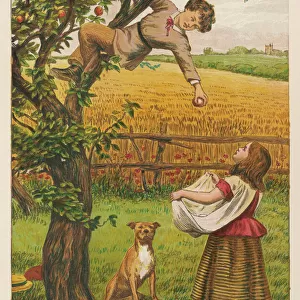Picking Apples 1878