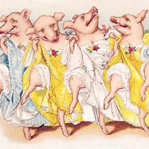 Five pigs dancing the cancan on a French postcard