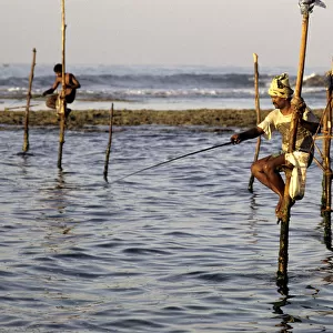 Pole fishermen, Sri Lanka - 6