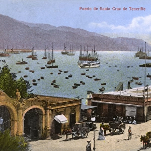 Port of Santa Cruz de Tenerife - Canary Islands, Spain