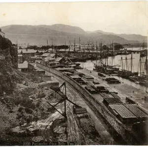 Porthmadog from Belle Vue, Gwynedd, North Wales