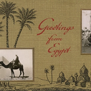 Postcard from Egypt