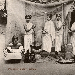 Pounding rice - Malabar region of Southern India