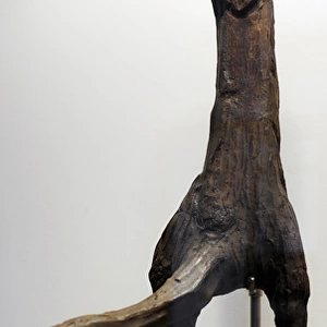 Prehistoric. Art. Metal Age. Male figure of oak, from Brodde