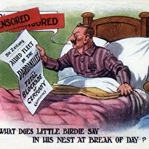 Propaganda cartoon - The Kaiser shocked at War Developments