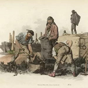Pyne - Coal Heavers
