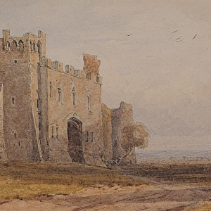 Raby Castle, Co. Durham