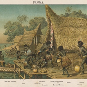 Racial Types / Papua