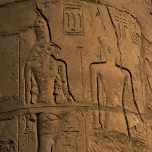 Rellief depicting goddess Sekhmet or Sekhmet, head of a lion