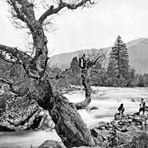 River, possibly in the Himalayan Mountains, India