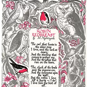 Awe-Inspiring Bird Prints: Robins