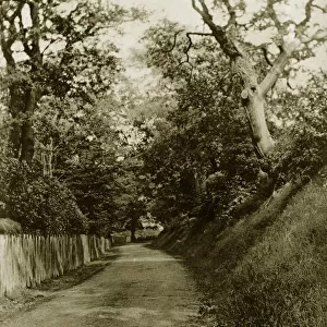 Rostherne Lane
