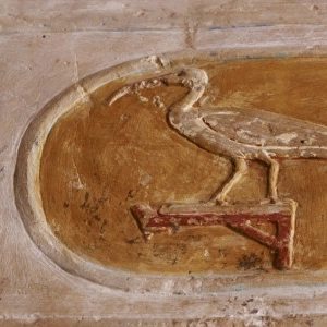 Royal cartridge of Queen Hatshepsut. Temple of Hatshepsut. D