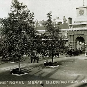 The Royal Mews, Buckingham Palace, London