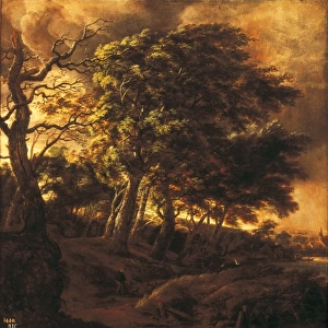 RUISDAEL, JACOB VAN (1628-1682)