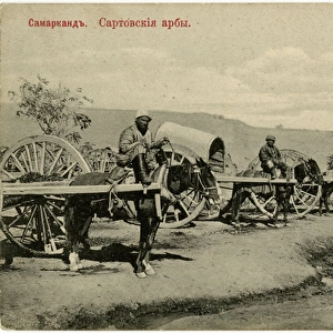 Samarkand, Uzbekistan, Carts and drivers - Saratov, Russia