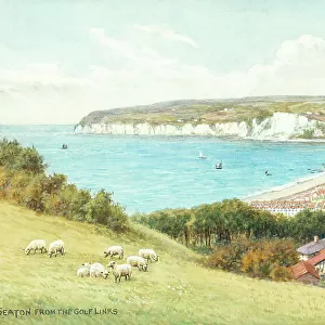 Seaton, Devon, viewed from the golf links