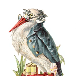 Secretary bird with books on a Victorian scrap