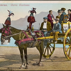 Sicilian Carriage