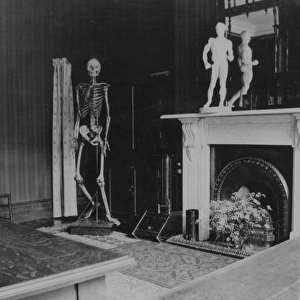 Skeleton in classroom