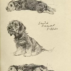 Sketches by Cecil Aldin, Just Among Friends
