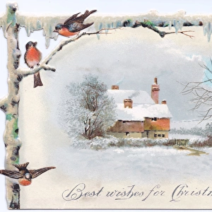 Snow scene with robins and cottage on a Christmas card