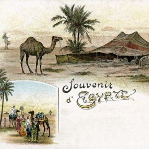 Souvenir of Egypt Postcard - Bedouin Tent and Camel