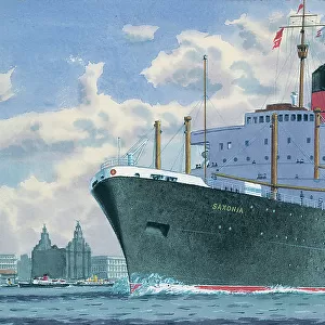 SS Saxonia