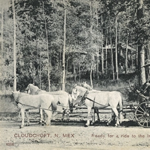 Stagecoach, Cloudcroft, New Mexico, USA